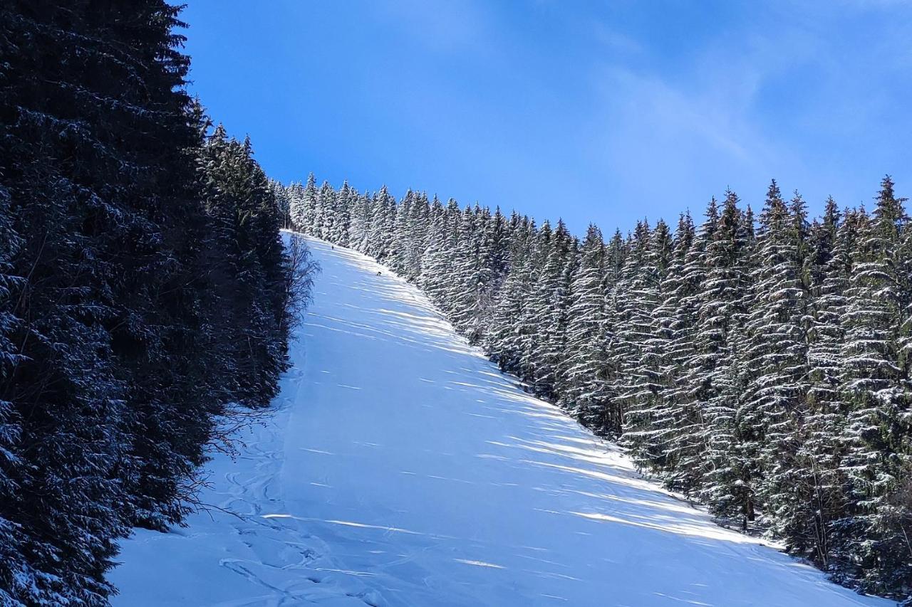 Enjoyharrachov - Atraktivni Slunny Klimatizovany Apartman 14 V Centru Harrachova Se Saunou, Parkovanim, Wifi-Wlan, Sat, Herni Konzoli, Pc S Win 10, Netflix Zdarma A Moznosti Dobijeni Auta S Jedinecnym Vyhledem Na Certovu Horu Se Skokanskymi Mustky Luaran gambar