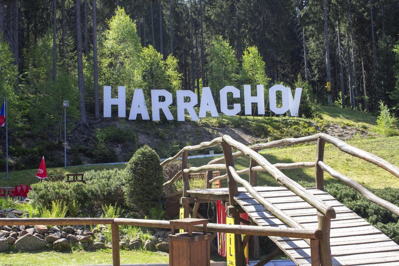 Enjoyharrachov - Atraktivni Slunny Klimatizovany Apartman 14 V Centru Harrachova Se Saunou, Parkovanim, Wifi-Wlan, Sat, Herni Konzoli, Pc S Win 10, Netflix Zdarma A Moznosti Dobijeni Auta S Jedinecnym Vyhledem Na Certovu Horu Se Skokanskymi Mustky Luaran gambar
